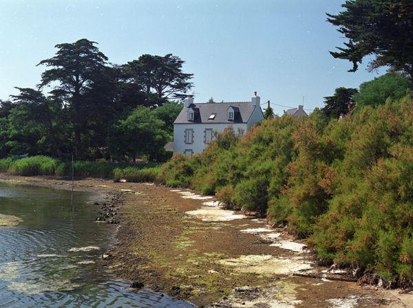 The covetable cottage Summer 2006